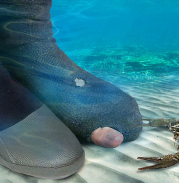 Jakie Kupić Buty na Kajaki?