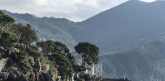 Ile kosztuje prom do Japonii?