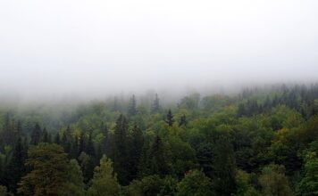 Jak zasłonić szyby w samochodzie?