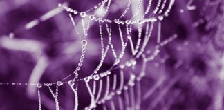 Ile powinien mieć oryginalny lakier?