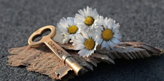 Jak otworzyć maskę w zamkniętym samochodzie?