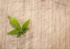 Jakie wagi podlegają legalizacji?