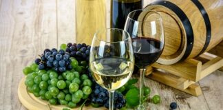 Czy alkohol chroni przed promieniowaniem?